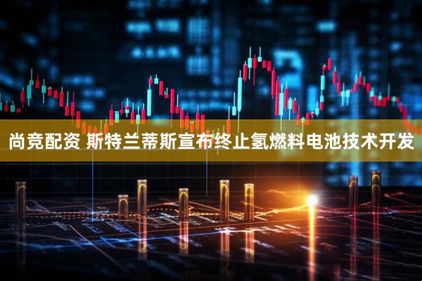 尚竞配资 斯特兰蒂斯宣布终止氢燃料电池技术开发
