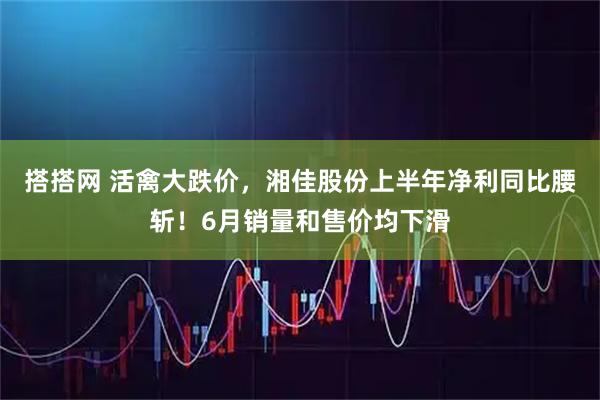 搭搭网 活禽大跌价，湘佳股份上半年净利同比腰斩！6月销量和售价均下滑