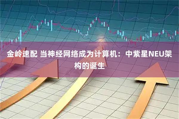 金岭速配 当神经网络成为计算机：中紫星NEU架构的诞生