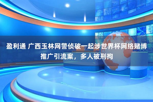 盈利通 广西玉林网警侦破一起涉世界杯网络赌博推广引流案，多人被刑拘