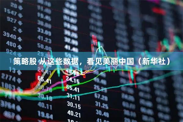 策略股 从这些数据,看见美丽中国(新华社)